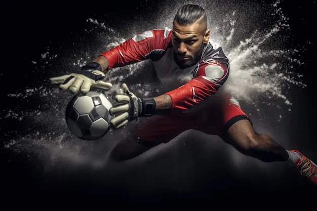 英亚体育中心官网 运动视觉